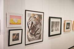 Art-Of_2024-231